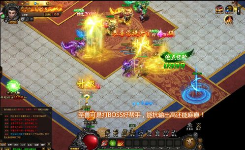 新开传奇网站,重燃你的战斗激情(新开传奇网站,体验原汁原味的传奇游戏)